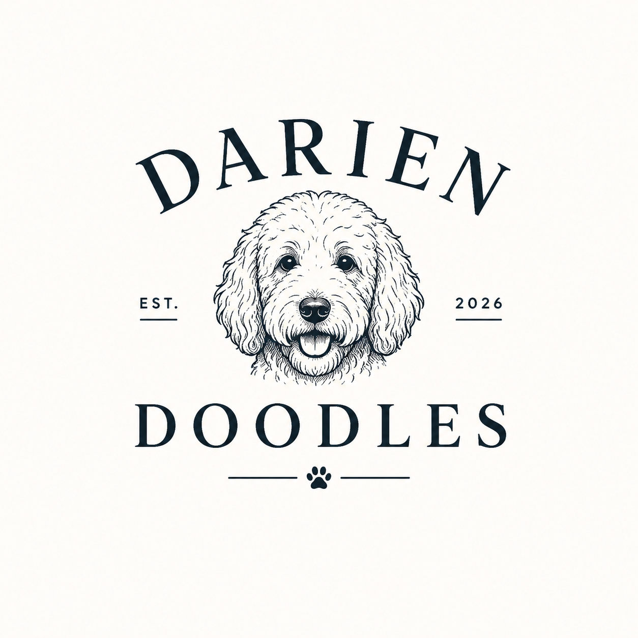 Darien Doodles